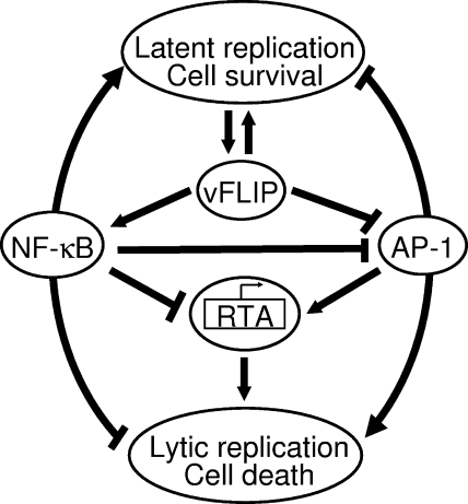 FIG. 8.