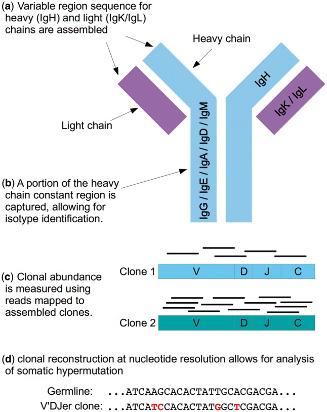 Fig. 1.