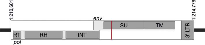 Figure 1