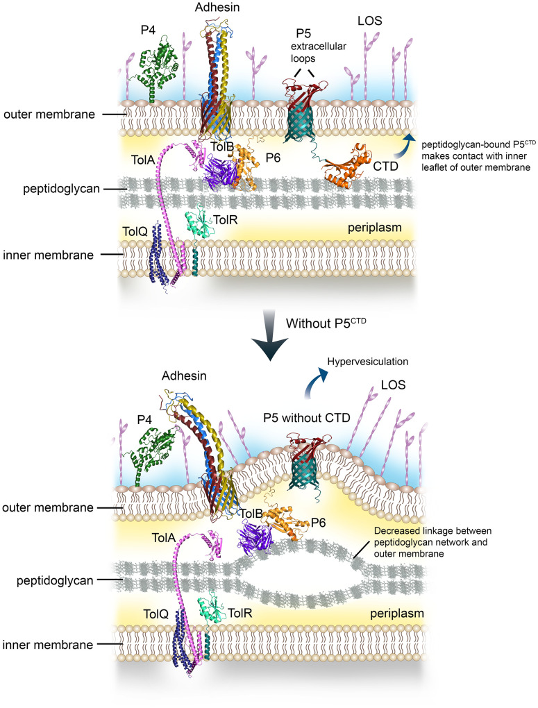 Figure 4