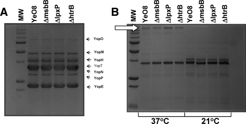 FIG. 6.