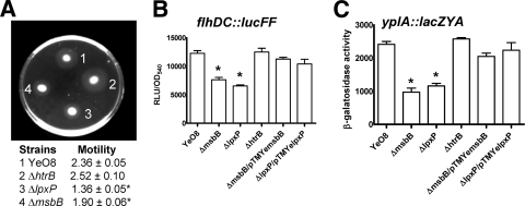 FIG. 4.