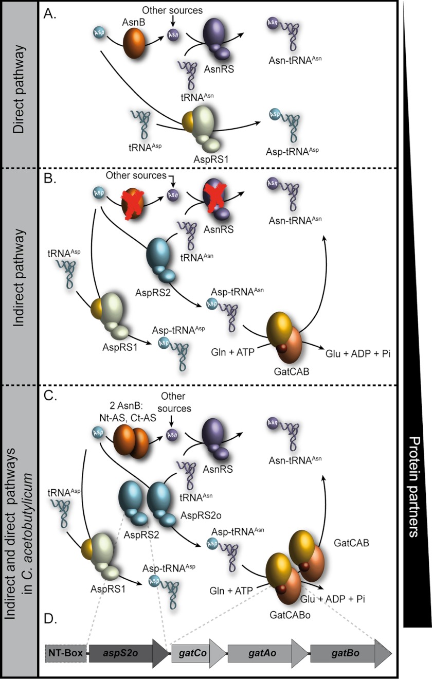 FIGURE 1.