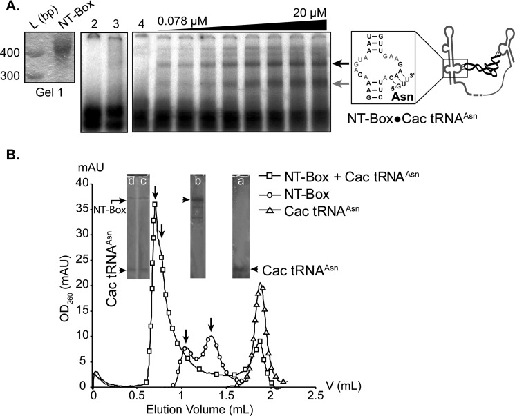 FIGURE 7.