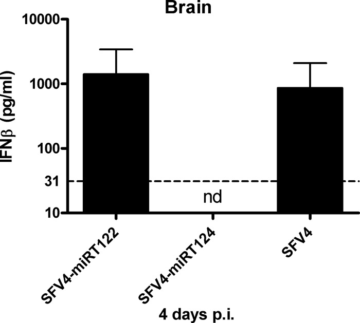 Fig 5