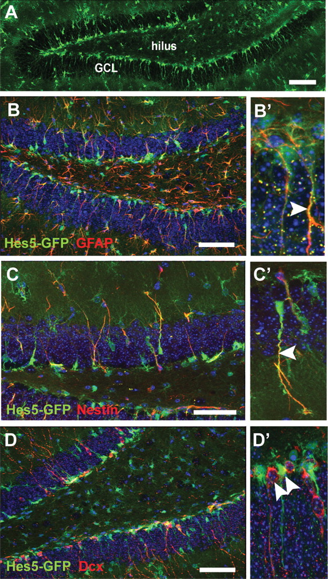 Figure 4.