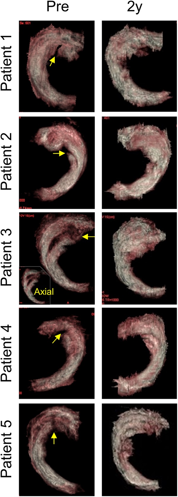 Figure 5.