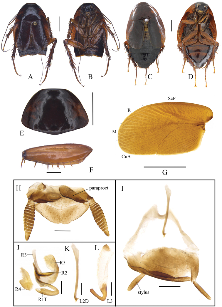 Figure 2.