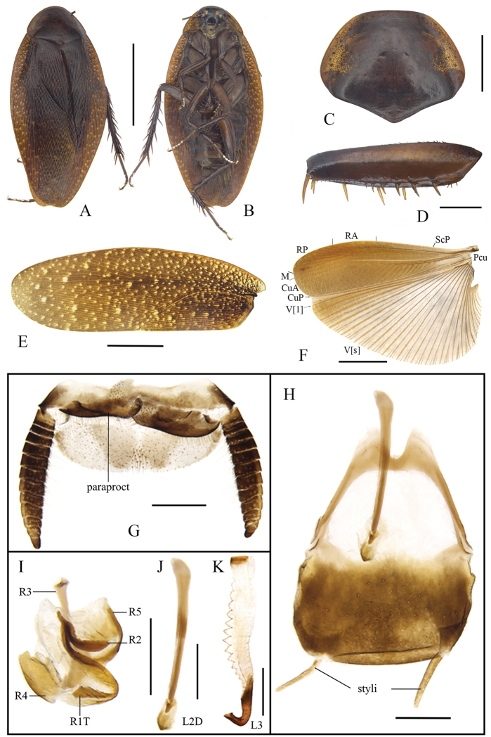 Figure 4.