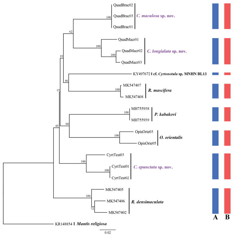 Figure 1.