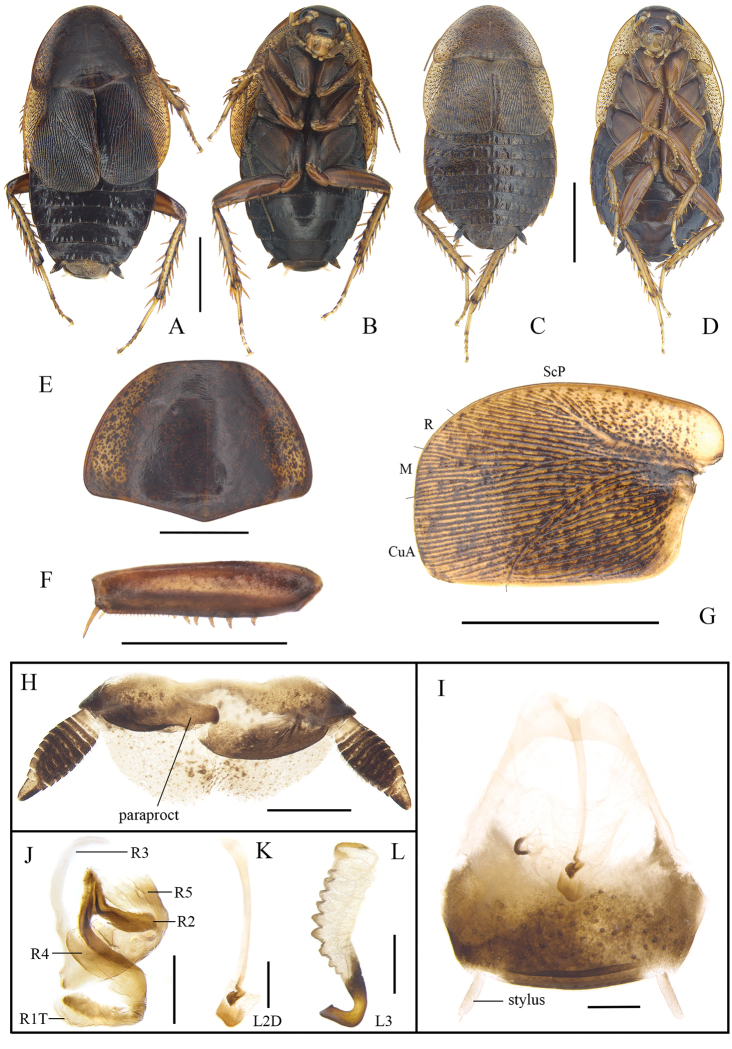 Figure 3.