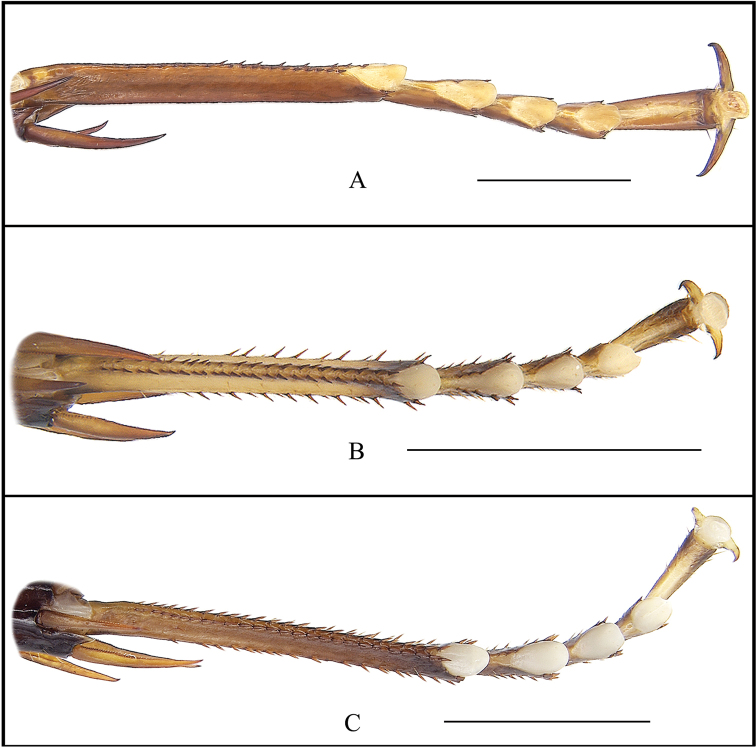 Figure 5.