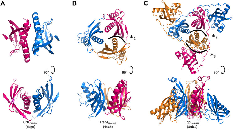 FIGURE 5