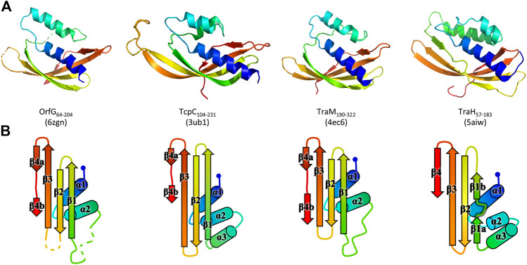 FIGURE 2