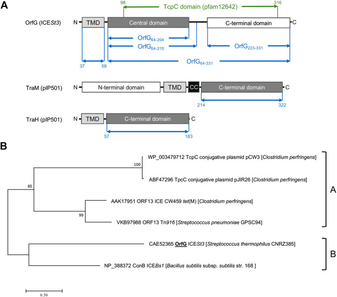 FIGURE 1