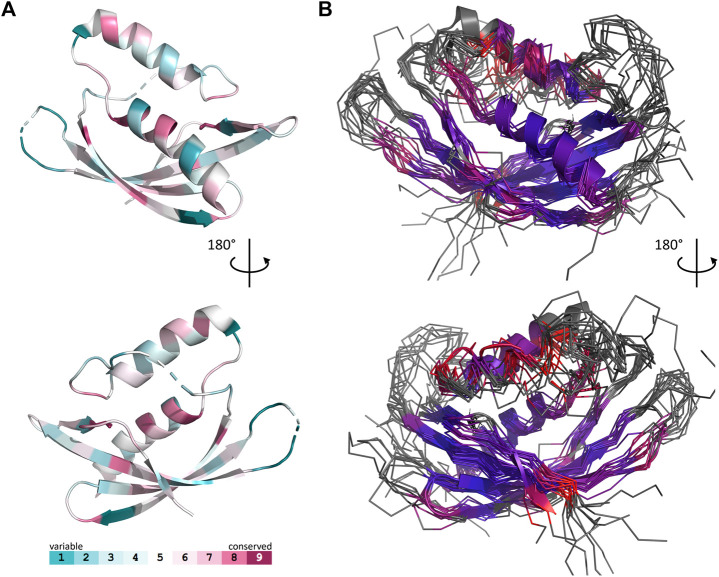 FIGURE 3