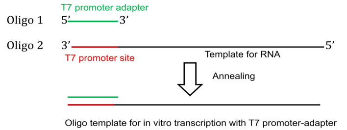 Figure 2.