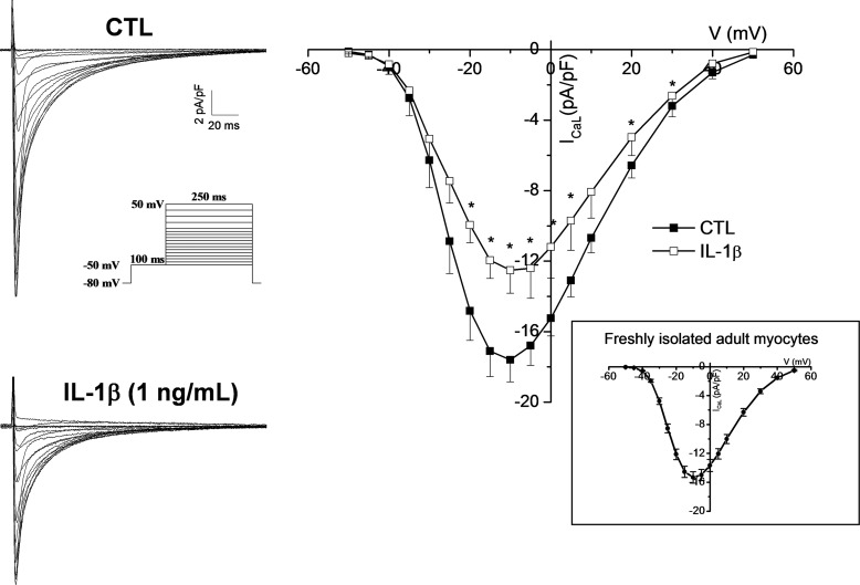 FIGURE 8.