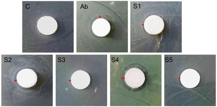 Figure 7