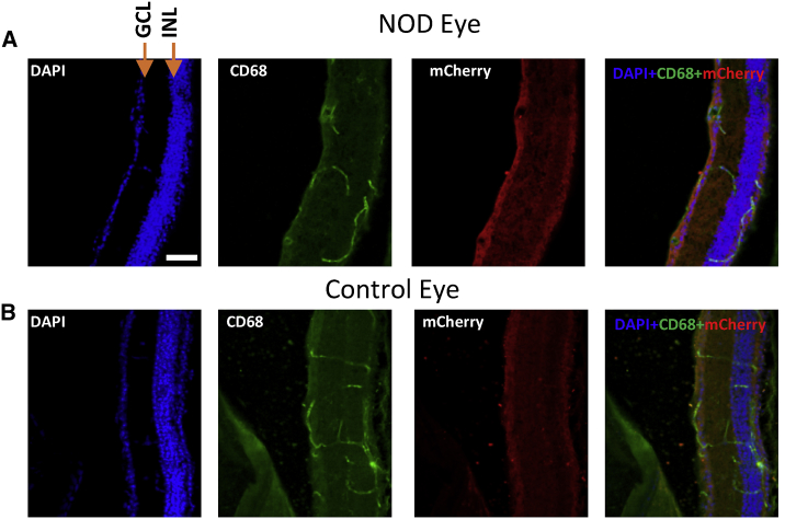 Figure 6