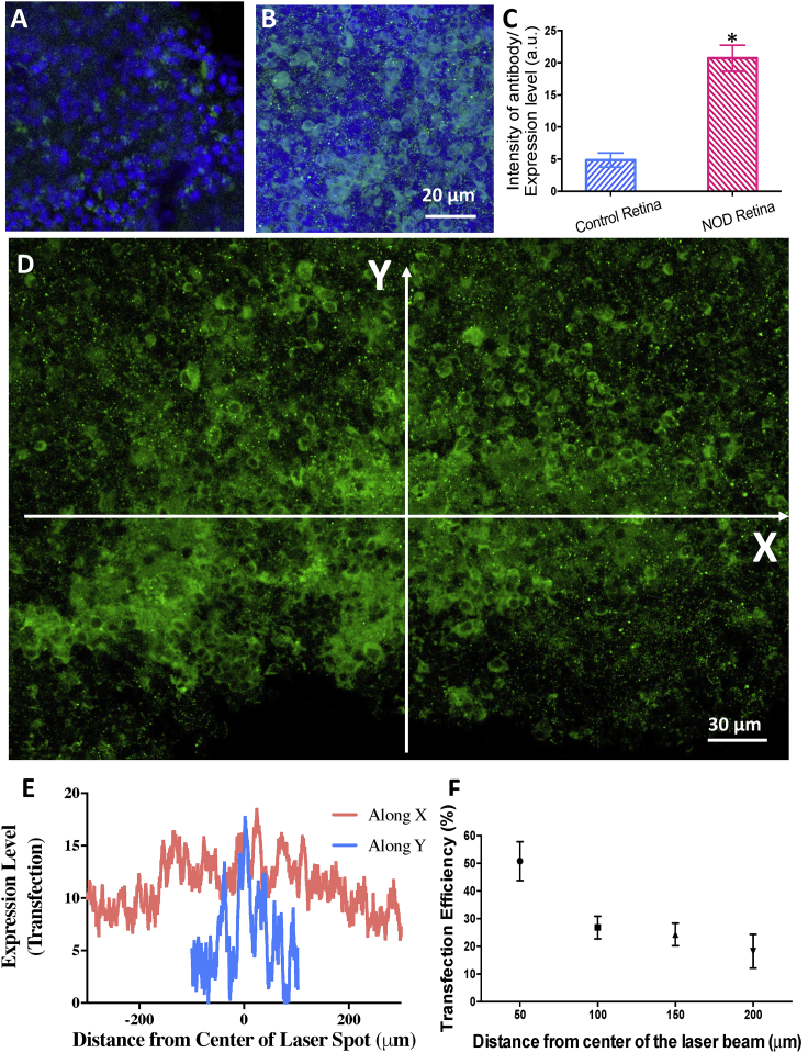 Figure 3