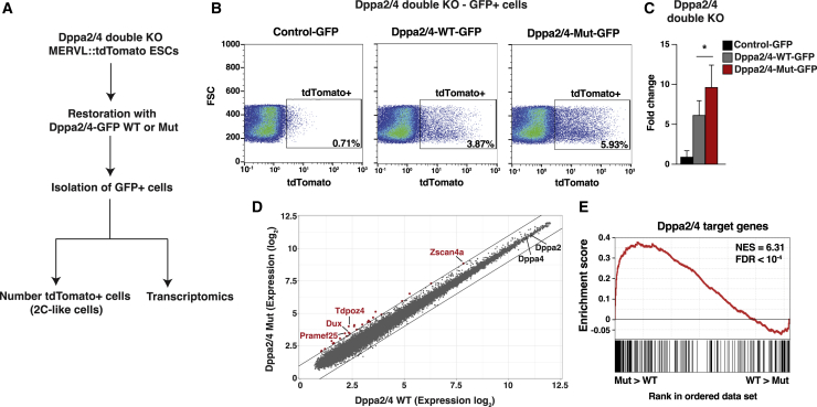 Figure 6