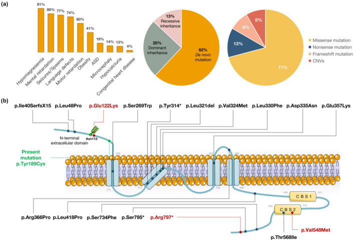 FIGURE 3