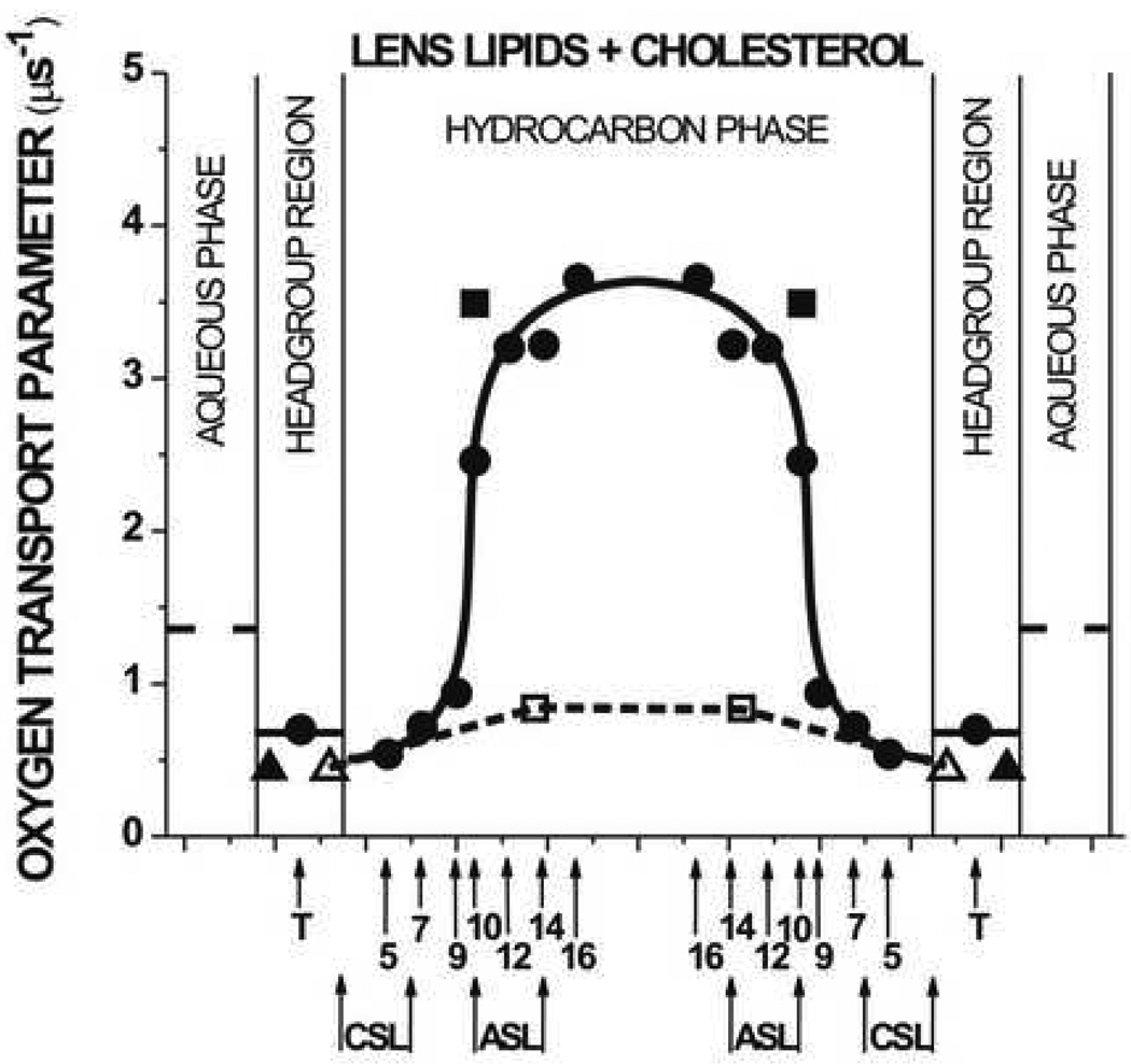 Fig. 11