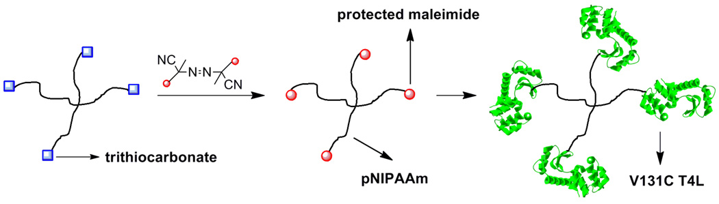 Fig. 11