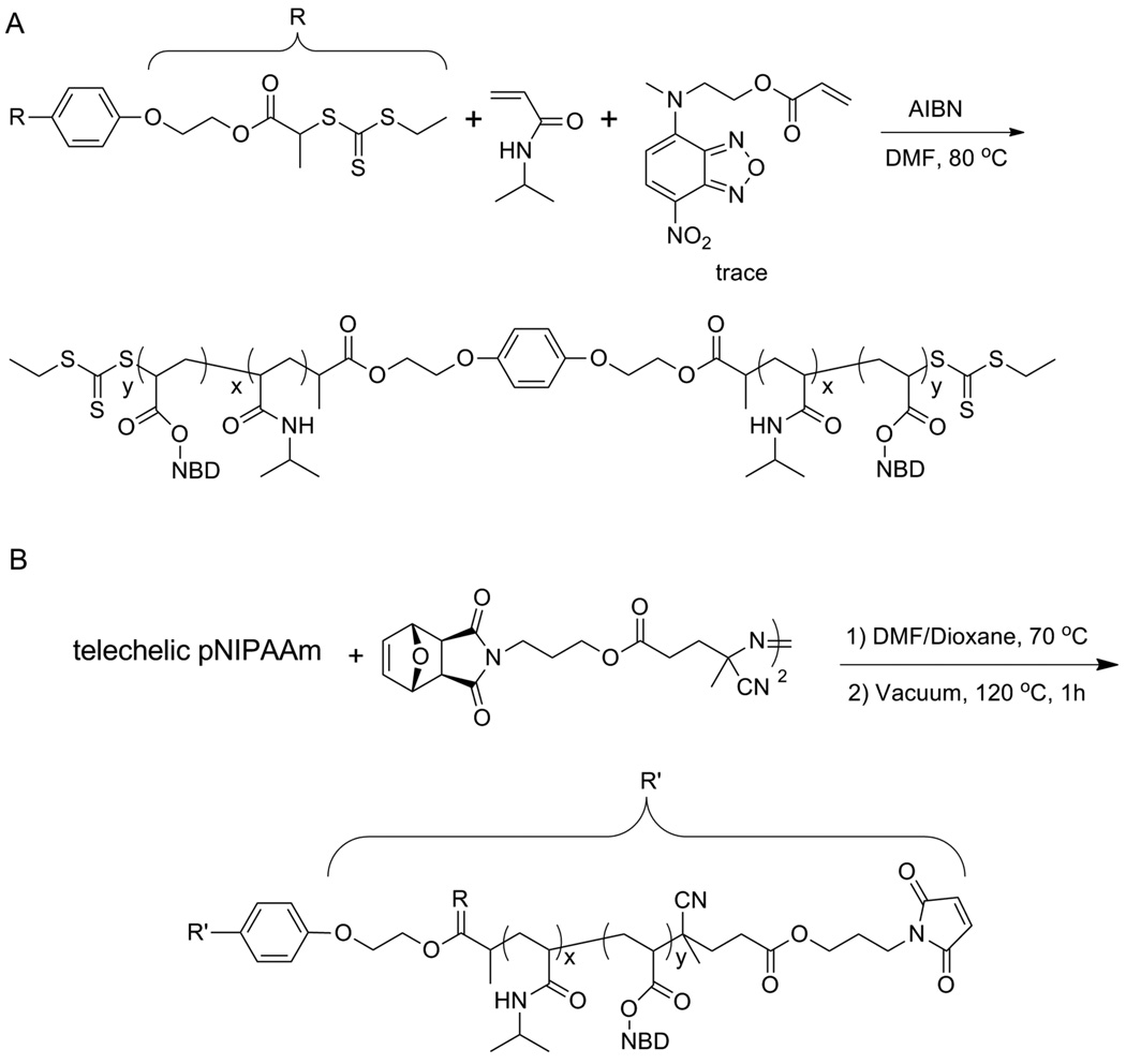 Scheme 4