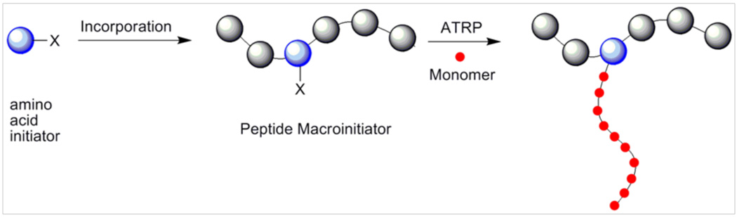 Scheme 2