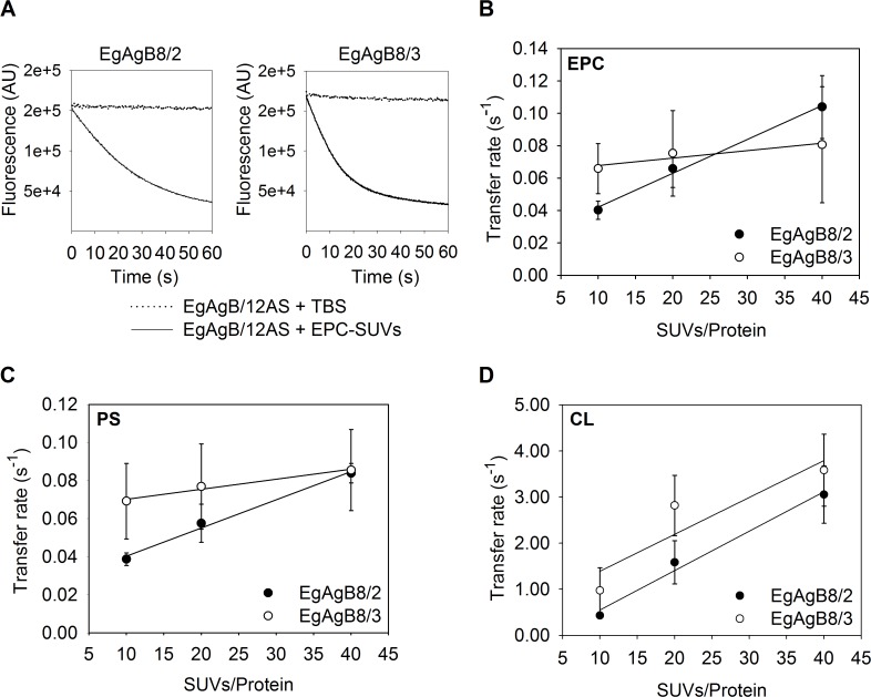 Fig 8