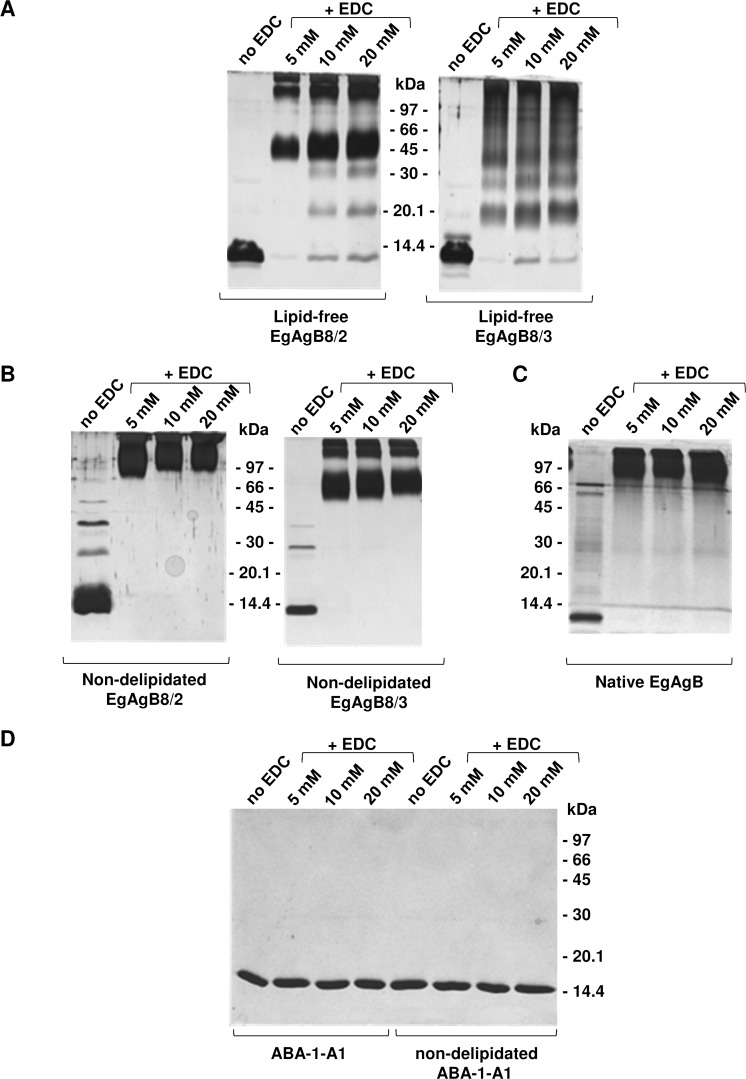 Fig 5