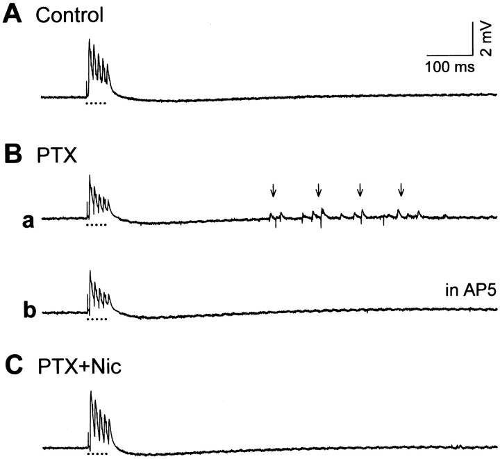 Fig. 10.