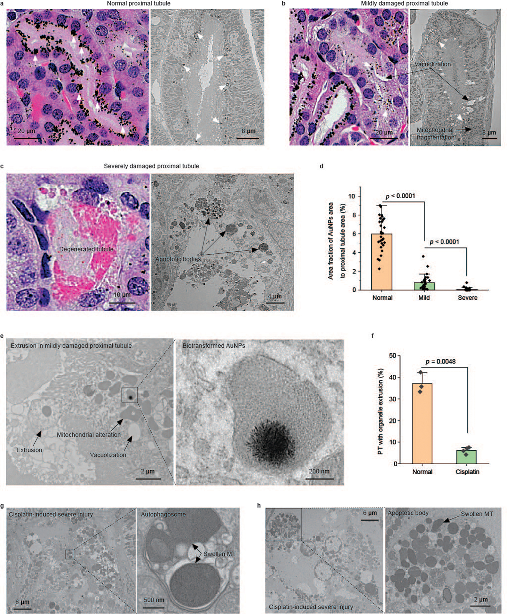 Fig. 6 |