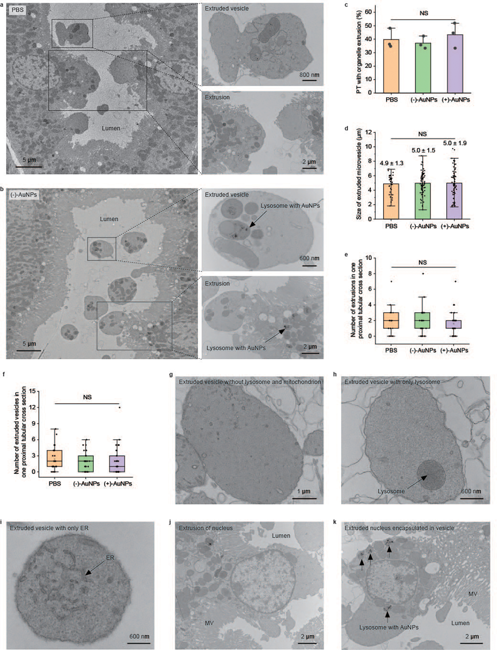 Fig. 5 |