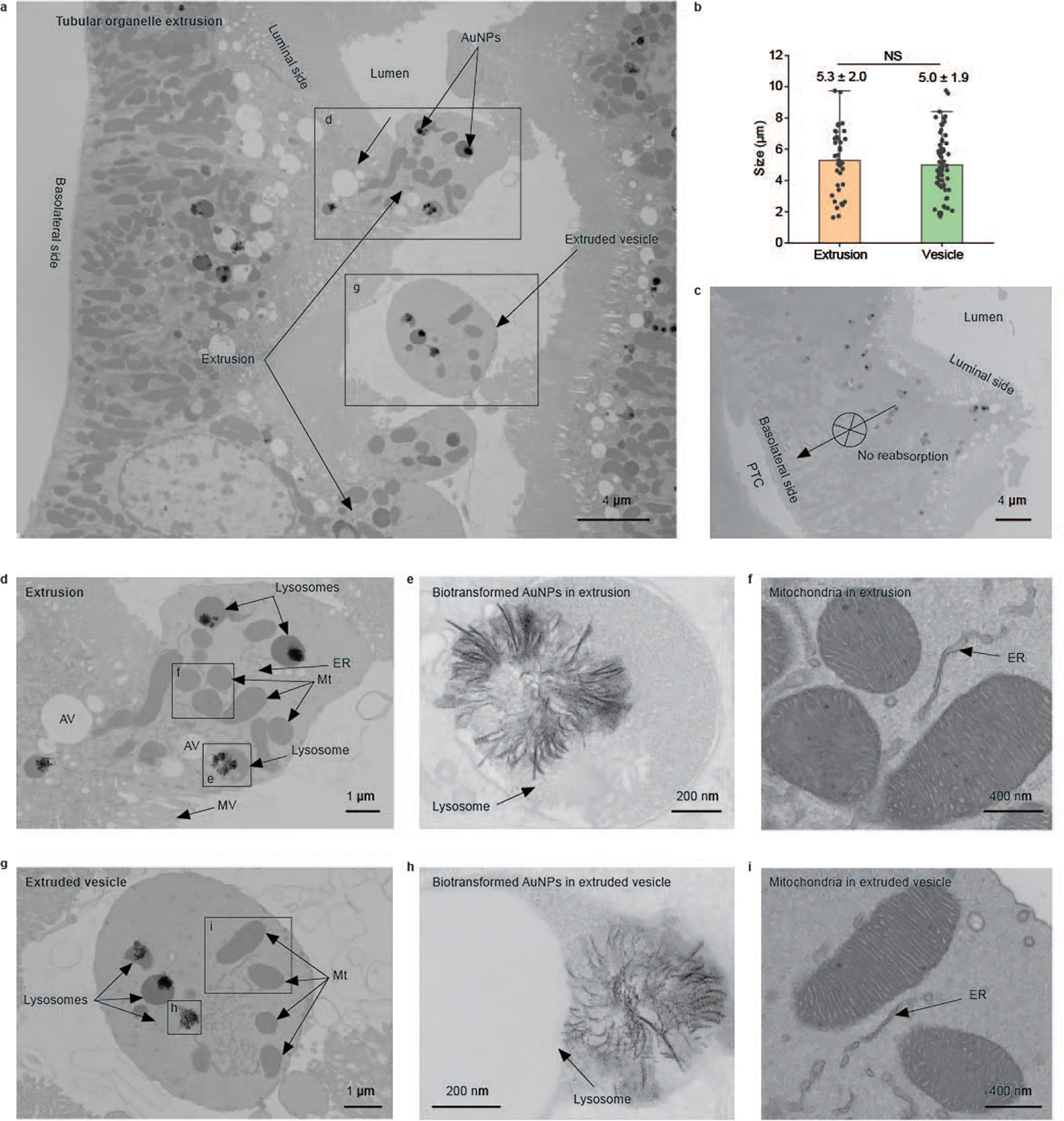 Fig. 4 |