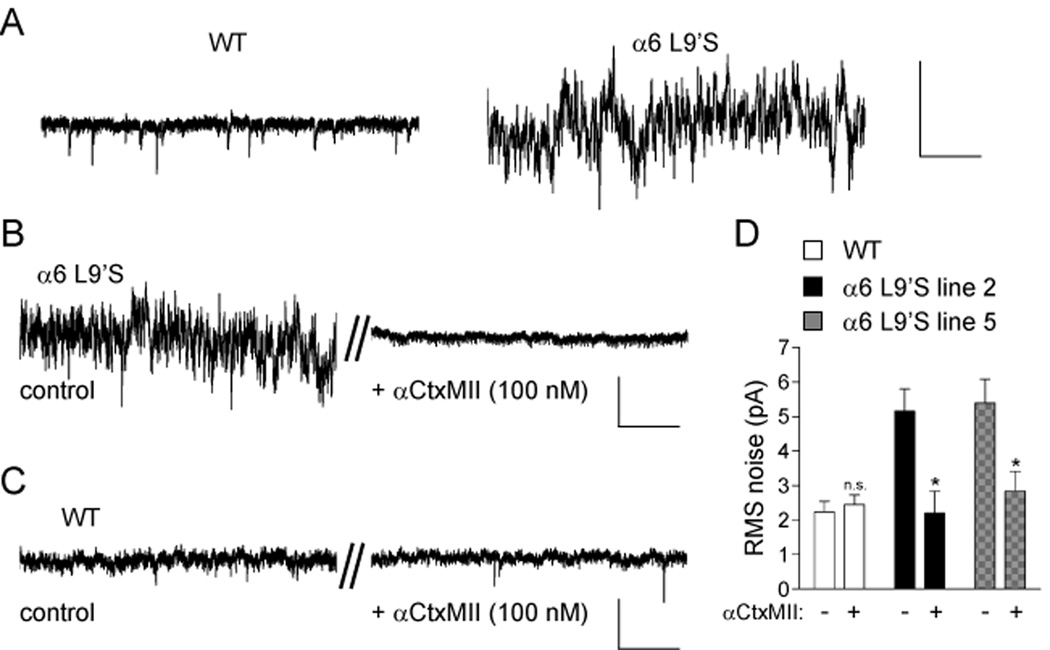 Figure 5