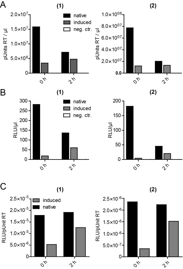 Figure 5—figure supplement 1.