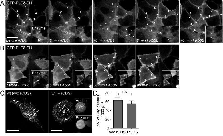 Figure 1—figure supplement 1.