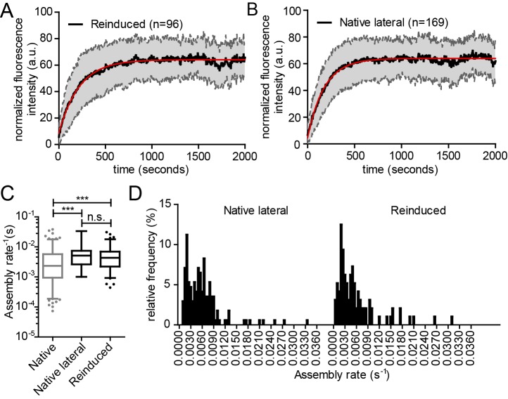 Figure 6—figure supplement 4.