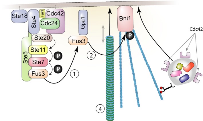 Figure 9