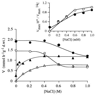 FIG. 5