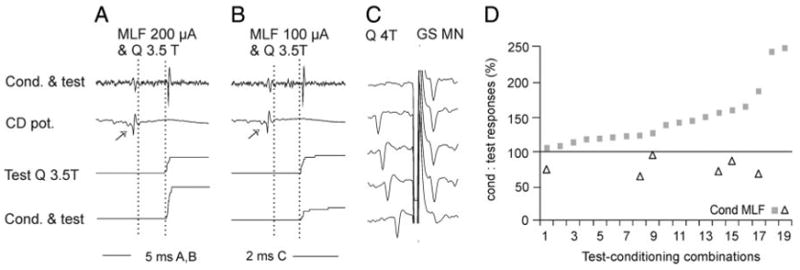 FIG. 6