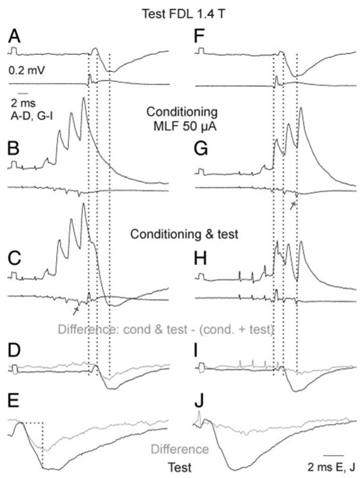 FIG. 7