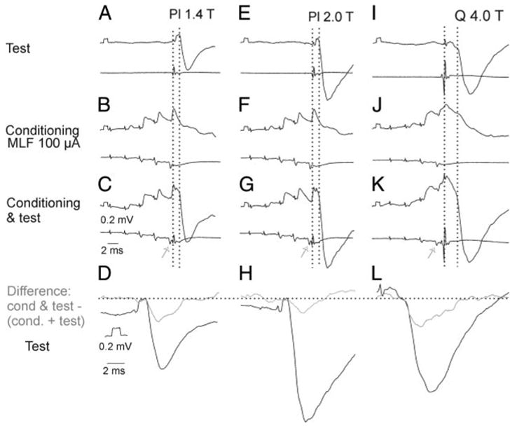 FIG. 8