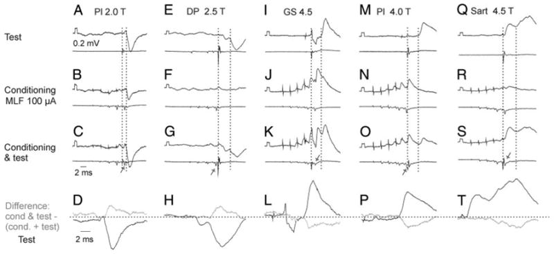 FIG. 9