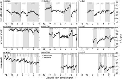 Fig. 7