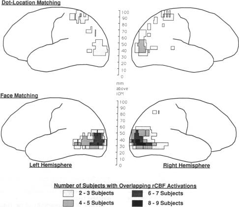 graphic file with name pnas01055-0040-a.jpg