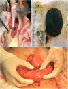 Fig. 3